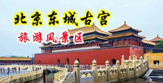 男生用鸡巴爆操女士逼逼视频下载中国北京-东城古宫旅游风景区
